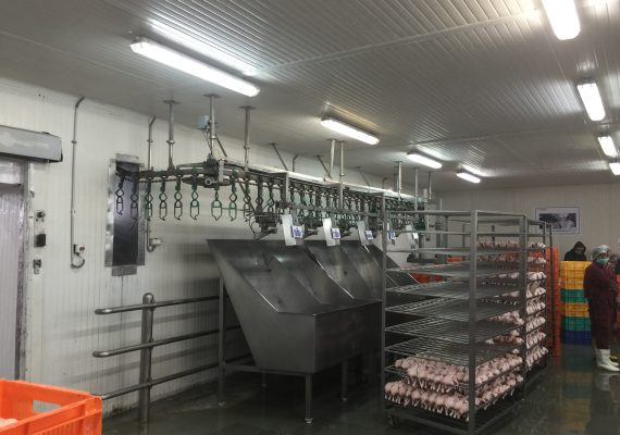 Frigowall Cold Storage2